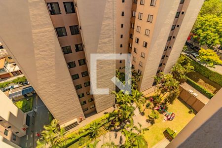 Apartamento para alugar com 2 quartos, 52m² em Vila Santa Catarina, São Paulo