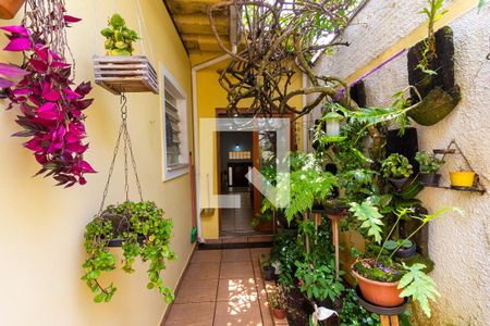 Sala - Jardim de casa à venda com 3 quartos, 250m² em Jardim Consorcio, São Paulo