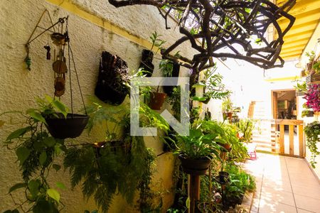 Sala - Jardim de casa à venda com 3 quartos, 250m² em Jardim Consorcio, São Paulo