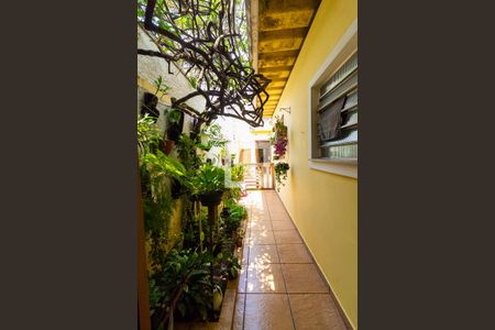 Sala - Jardim de casa à venda com 3 quartos, 250m² em Jardim Consorcio, São Paulo