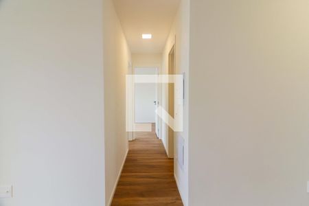 Corredor de apartamento para alugar com 2 quartos, 54m² em Vila Sonia, São Paulo