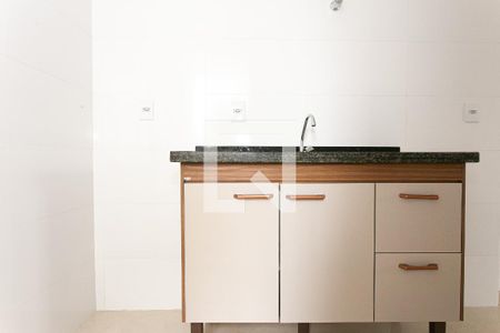 Cozinha - Armários de apartamento para alugar com 2 quartos, 38m² em Vila Centenario, São Paulo