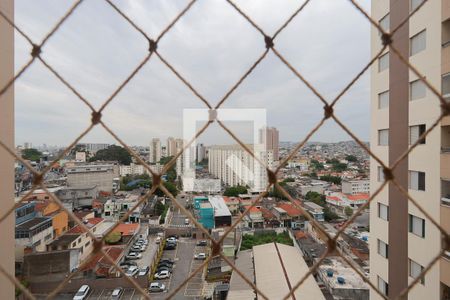 Vista do quarto 1 de apartamento para alugar com 3 quartos, 63m² em Vila Nova Cachoeirinha, São Paulo