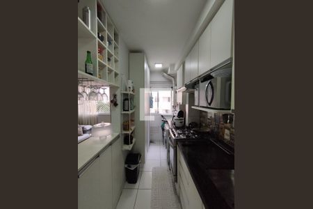 Cozinha - Armários de apartamento para alugar com 2 quartos, 51m² em Jardim Santa Emilia, São Paulo