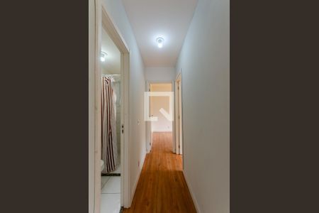 Corredor de apartamento para alugar com 2 quartos, 42m² em Vila Zat, São Paulo