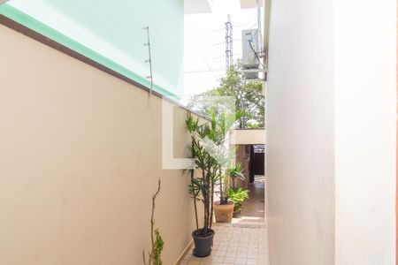 Sala de casa à venda com 3 quartos, 169m² em Vila Leopoldina, São Paulo