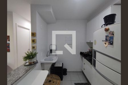 Cozinha - Armários de apartamento para alugar com 2 quartos, 36m² em Ipiranga, São Paulo