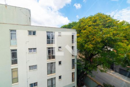 Vista do Quarto 2 de apartamento para alugar com 2 quartos, 56m² em Vila Santa Catarina, São Paulo