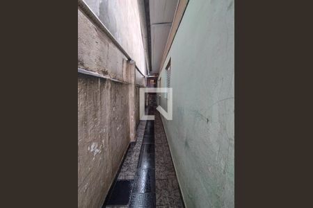 Quintal  de casa para alugar com 2 quartos, 30m² em Vila Brasilina, São Paulo