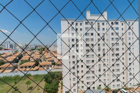 Apartamento para alugar com 2 quartos, 50m² em Castelo, Belo Horizonte