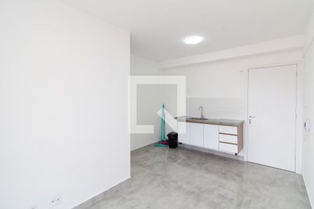 Sala - Cozinha de apartamento para alugar com 1 quarto, 26m² em Vila Sonia, São Paulo