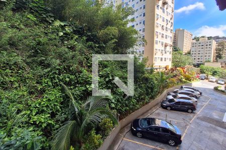 Sala de apartamento para alugar com 2 quartos, 55m² em Santa Rosa, Niterói