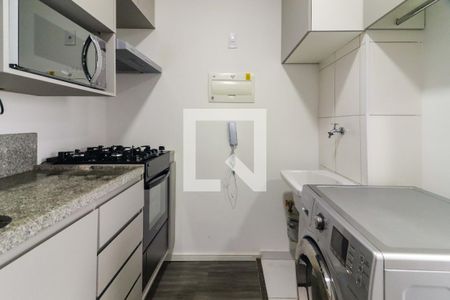 Cozinha e Área de Serviço de apartamento para alugar com 1 quarto, 31m² em Vila Sonia, São Paulo