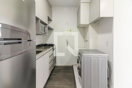Cozinha e Área de Serviço de apartamento para alugar com 1 quarto, 31m² em Vila Sonia, São Paulo