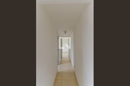 Corredor de apartamento para alugar com 2 quartos, 46m² em Vila Zat, São Paulo