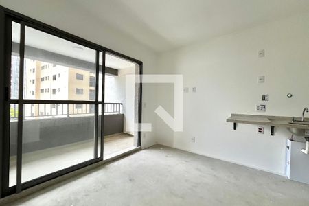 Sala/Quarto de kitnet/studio para alugar com 1 quarto, 30m² em Vila Santa Catarina, São Paulo