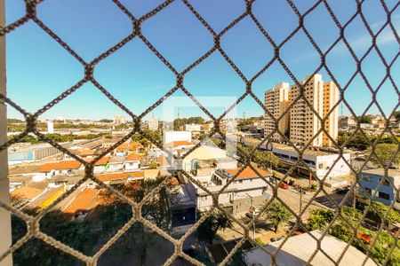 Vista de apartamento para alugar com 2 quartos, 55m² em Paulicéia, São Bernardo do Campo