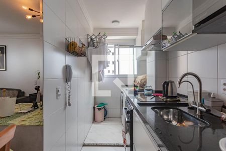 Cozinha de apartamento para alugar com 2 quartos, 41m² em Jardim Sao Saverio, São Paulo