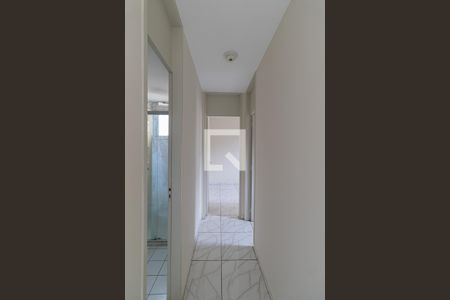 Corredor de apartamento para alugar com 2 quartos, 43m² em Vila Ré, São Paulo