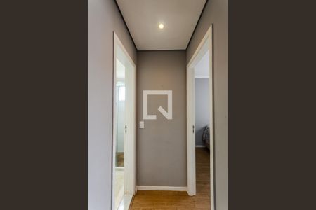Corredor de apartamento para alugar com 2 quartos, 40m² em Vila Pirituba, São Paulo