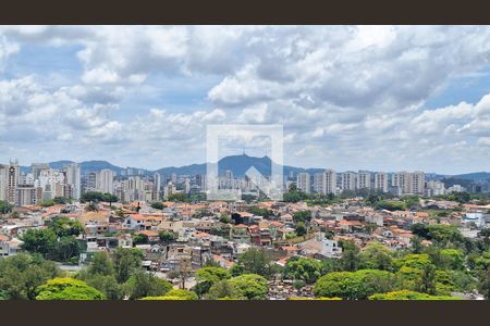 Vista de apartamento para alugar com 2 quartos, 39m² em Boaçava, São Paulo