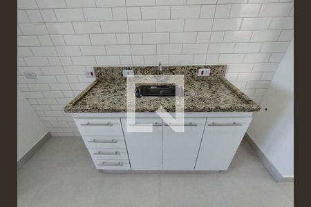 Cozinha - Armários de casa para alugar com 1 quarto, 40m² em Vila Brasilina, São Paulo