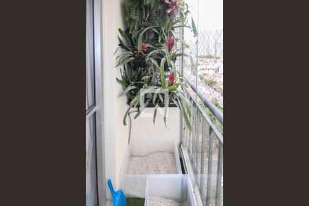 Varanda de apartamento à venda com 2 quartos, 50m² em Quinta da Paineira, São Paulo