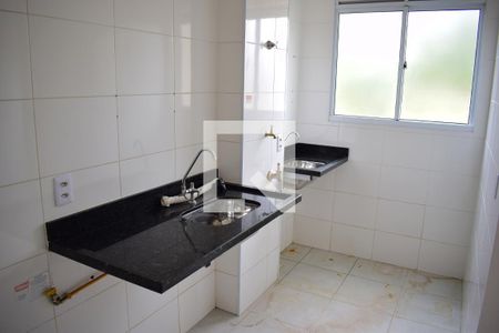 Cozinha e Área de Serviço de apartamento para alugar com 2 quartos, 55m² em Vila Guiomar, Ribeirão Preto