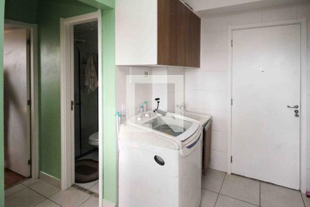 Cozinha e Área de Serviço de apartamento para alugar com 2 quartos, 32m² em Jardim Planalto, São Paulo