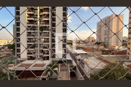 Apartamento para alugar com 1 quarto, 79m² em Centro, Campinas