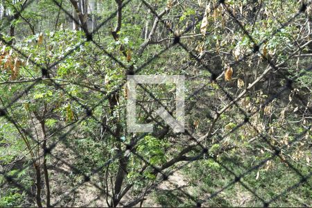 Apartamento para alugar com 2 quartos, 50m² em Tomás Coelho, Rio de Janeiro