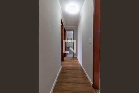 Corredor de apartamento para alugar com 2 quartos, 50m² em Vila Silvia, São Paulo