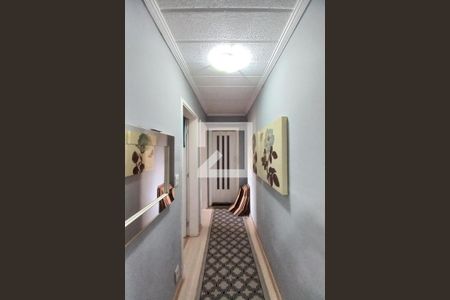 Corredor de apartamento para alugar com 2 quartos, 8000m² em Jardim das Bandeiras, Campinas