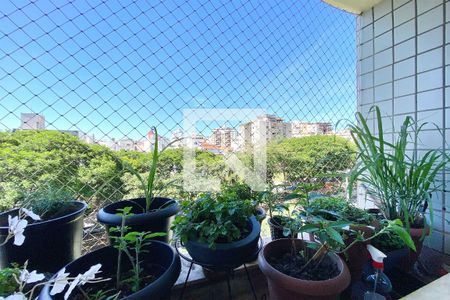Vista da Sala de apartamento à venda com 2 quartos, 70m² em Cidade Nova, Belo Horizonte
