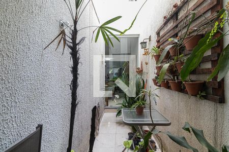 Jardim de Inverno  de casa à venda com 3 quartos, 257m² em Vila Rio Branco, São Paulo