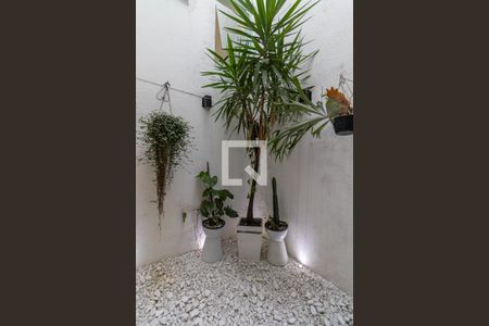 Jardim de Inverno  de casa à venda com 3 quartos, 108m² em Jardim Nordeste, São Paulo