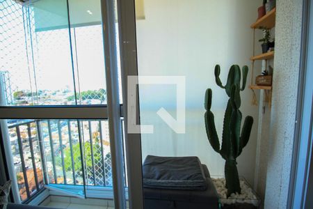 Apartamento à venda com 2 quartos, 38m² em Jardim Analia Franco, São Paulo