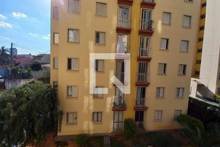 Vista do Quarto 1  de apartamento à venda com 3 quartos, 78m² em Jardim dos Oliveiras, Campinas