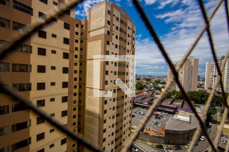 Vista da varanda de apartamento à venda com 3 quartos, 75m² em Vila Apiai, Santo André