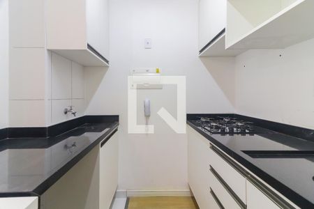 Cozinha e Área de Serviço de apartamento para alugar com 1 quarto, 31m² em Vila Sonia, São Paulo