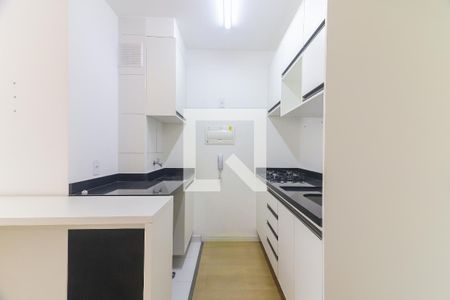 Cozinha e Área de Serviço de apartamento para alugar com 1 quarto, 31m² em Vila Sonia, São Paulo