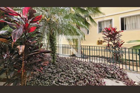 Apartamento para alugar com 2 quartos, 50m² em Vila Della Piazza, Jundiaí