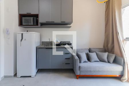 Sala e Cozinha de apartamento para alugar com 1 quarto, 25m² em Vila Butantã, São Paulo