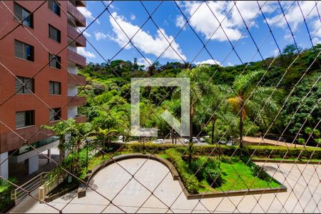 Vista de apartamento para alugar com 4 quartos, 147m² em Luxemburgo, Belo Horizonte