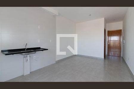 Sala/Cozinha de apartamento para alugar com 2 quartos, 35m² em Vila Santa Teresa, São Paulo