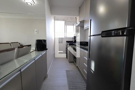 Cozinha de apartamento para alugar com 2 quartos, 48m² em Parque Jaçatuba, Santo André
