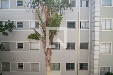 Sala - Vista da Janela de apartamento para alugar com 2 quartos, 49m² em Chácaras Fazenda Coelho, Hortolândia