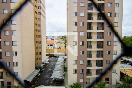Vista do quarto 1 de apartamento para alugar com 3 quartos, 60m² em Jardim Cambui, Santo André