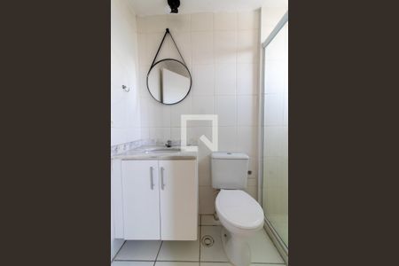 Banheiro da Suíte de apartamento para alugar com 2 quartos, 56m² em Bonfim, Campinas