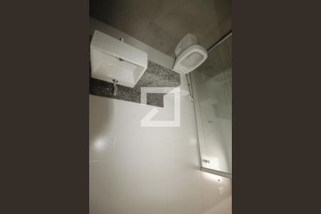 banheiro 1 de apartamento à venda com 2 quartos, 146m² em Alto Barroca, Belo Horizonte